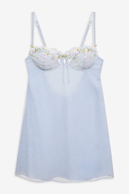 Gingham Rose Slip Dress - Blue | For Love and Lemons